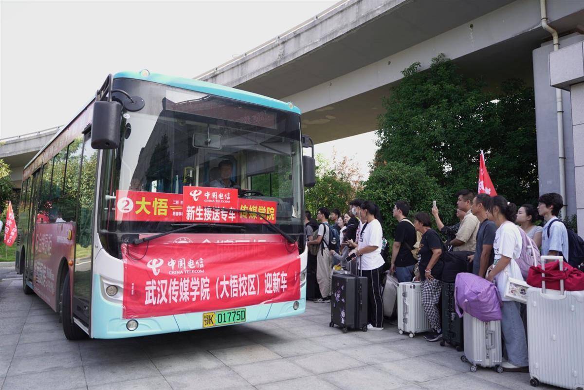 网上菠菜入口
